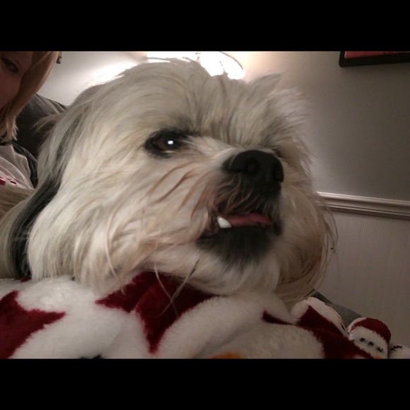 Meet your Posher, Mc - Picture 1 of 1